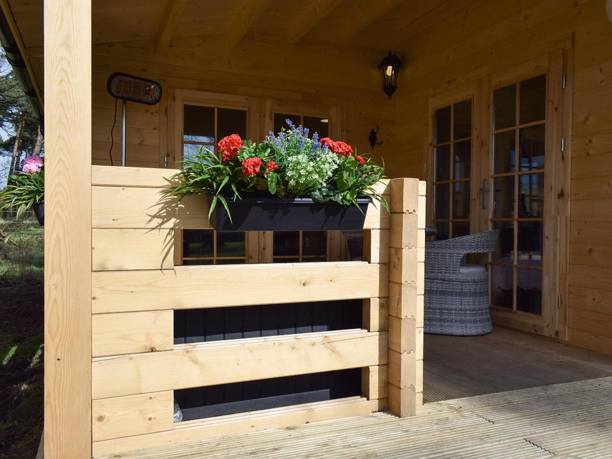 Pinewood Cabin Saline エクステリア 写真